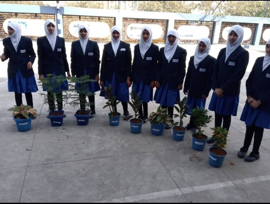 Environmental & Civic Programs